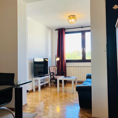 Njegoseva Apartment *
